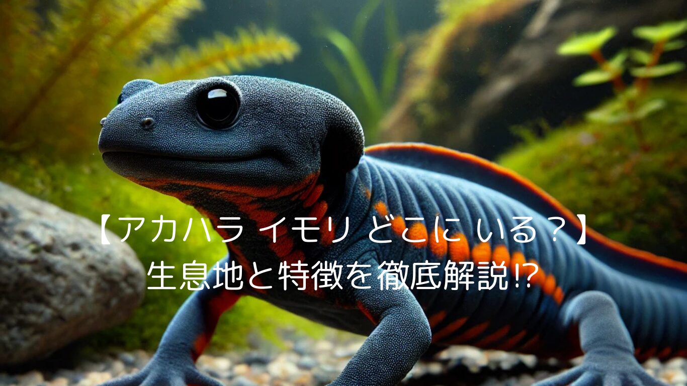 【アカハラ イモリ どこに いる?】生息地と特徴を徹底解説⁉ - 鬼瓦動物王国